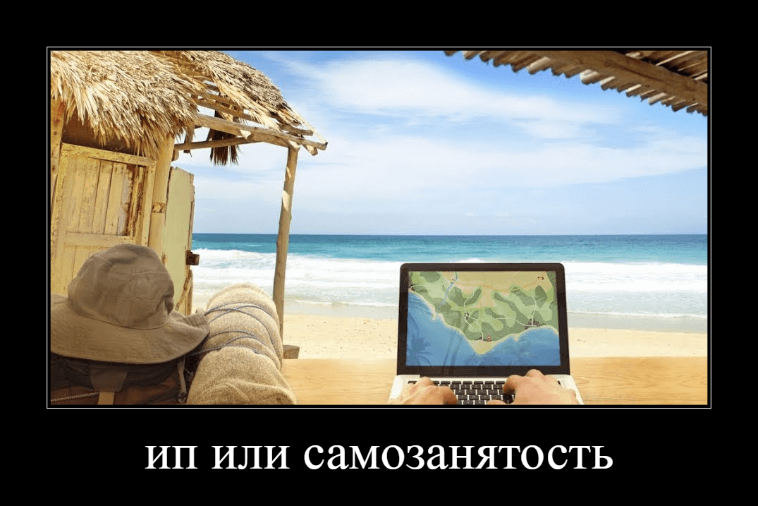 ИП или самозанятый: что выбрать